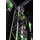 Eurolite Audience Blinder 4xPAR-36 Schwarz