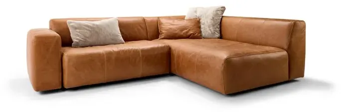 Bullfrog Ecksofa 1001 Camp Leder Gold Kupfer