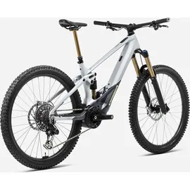 Orbea Wild M20 Halo Silver-Tanzanite Carbon 2024