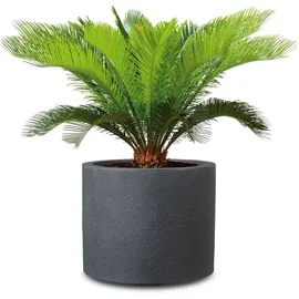 Scheurich Panzano 50 Ø 48 x 40,3 cm Schwarz-Granit