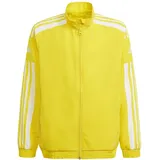 Adidas Squadra 21 Trainingsanzug - Team Yellow / White, 15-16 Jahre
