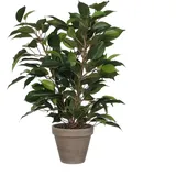 Mica Decorations Mica Kunstpflanze Ficus Natasja Grün im Topf 40 cm