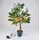 Buri Kugelleuchte Kunststoff 90 cm Solar LED orange