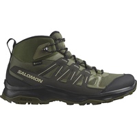 Salomon Grivola Mid GTX Wanderschuhe grün - 46 2/3