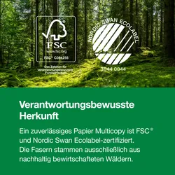 Multicopy Paper – hochwertiges weißes Büropapier, Box mit 5 Ries (2500 Blatt), A3, 80 g/m2, ColorLok®-Technologie für hervorragende Druckqualität