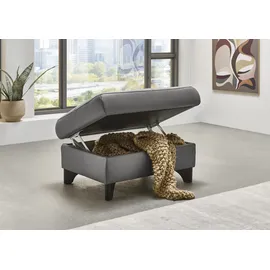 die planbar Hocker Aufklappbar mit Stauraum 86 x 45 x 65 cm Grau