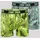 Camp David Boxershorts bunt S 2er Pack
