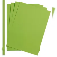 Clairefontaine Maya Bastelkarton 50x70cm 185g 25 Bogen Moosgrün
