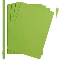 Clairefontaine Maya Bastelkarton 50x70cm 185g 25 Bogen Moosgrün