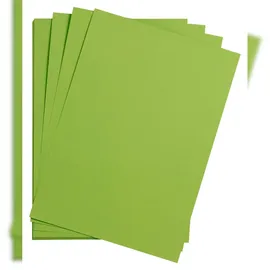 Clairefontaine Maya Bastelkarton 50x70cm 185g 25 Bogen Moosgrün
