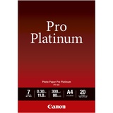 Canon PT-101 Pro Platinum A4 20 Blatt