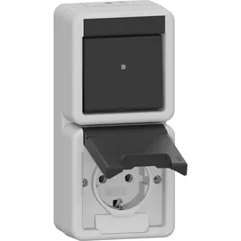 Gira Kombi AusWe/SCHUKO senkr. KD Grau 1 St.