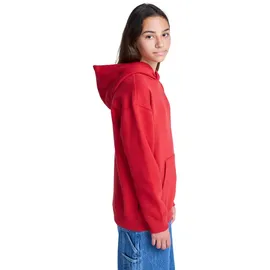 Element Hoodie Red 14
