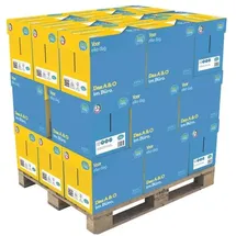 DataCopy Everyday Printing 80 g/m2 120x500 Blatt