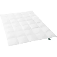 fan Daunendecke Alaska, medium - Biobasiert, 155 x 220 cm
