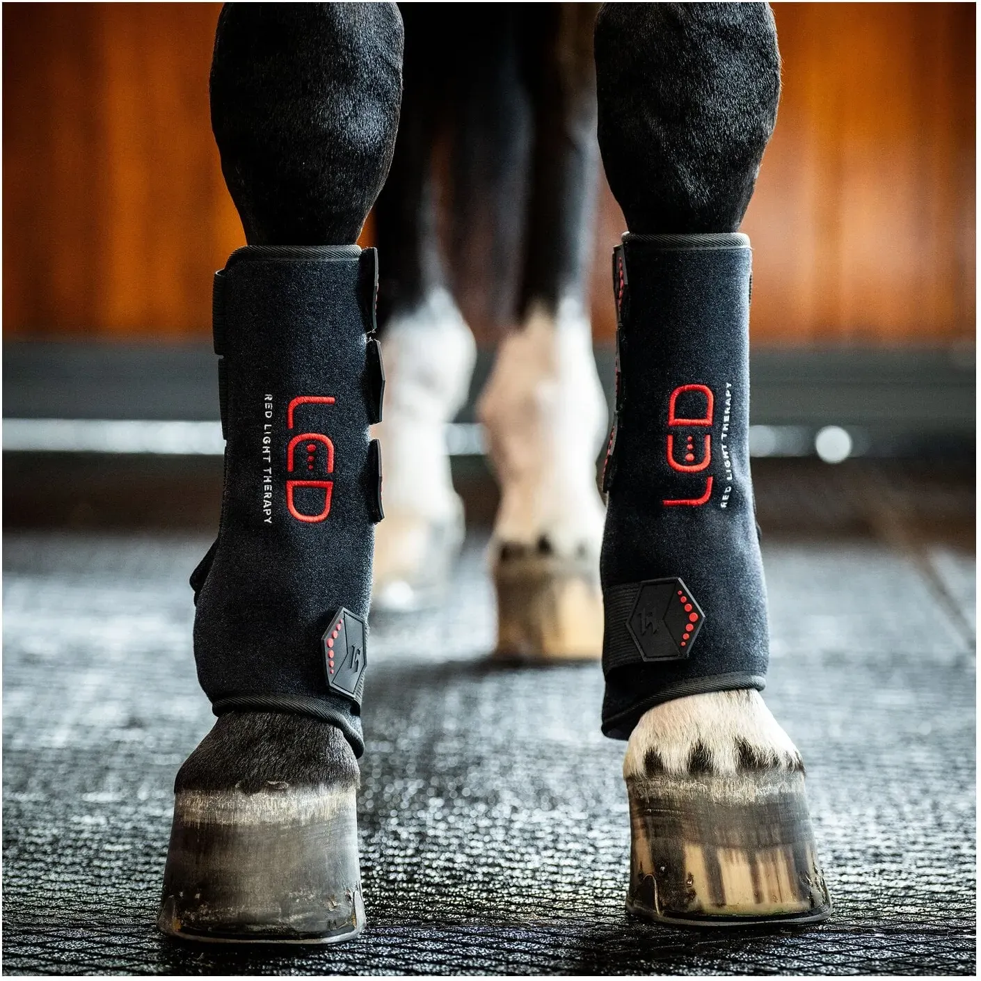 HORSEWARE Gamasche LED Red Light Therapy Leg Wraps, für die Vorderbeine black/black vorne rechts