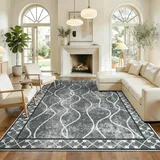 Fmaibay Waschbarer Teppich Grau 160x230 Teppich Wohnzimmer Schlafzimmer Kurzflor Modern Wohnzimmerteppich Weicher rutschfest Teppiche für Esszimmer Küche Büro