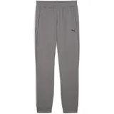 Puma Pumatech Double Knit Jogginghose Herren 79 cast iron XL
