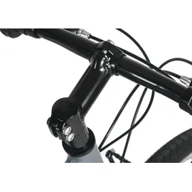 Dacapo Mistral 24 Zoll RH 32 cm grau