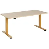 HAMMERBACHER XMST16 elektrisch höhenverstellbarer Schreibtisch eiche rechteckig, T-Fuß-Gestell gold 160,0 x 80,0 cm