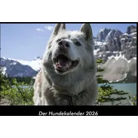 Vero Kalender Der Hundekalender 2026 Fotokalender DIN A3 von