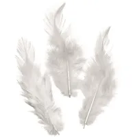 KnorrPrandell Hahnenfedern 10 cm weiß 16 Stück