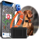 Zeerkeer 4G GPS Hunde Jagdhund Tracker Ohne ABO Weltweite Live-Ortung Wasserdicht Hund Halsbänder mit Haustiersuche durch Licht/Ton & Smart Activity Tracking Gerät für mittelgroßer bis großer Hund