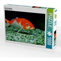 Calvendo Wakin-Goldfisch Puzzle