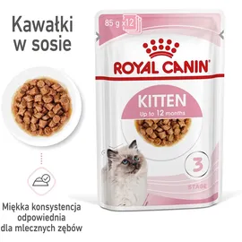 Royal Canin Kitten Nassfutter in Soße 2 Kartons (24 x 85 g)