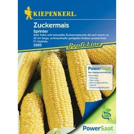 Kiepenkerl Mais Zuckermais Sprinter F1 Powersaat Gemüsesamen - Kiepenkerl