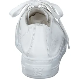 Paul Green 4790 white 37,5