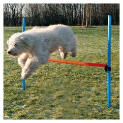 Trixie Agility Hürde