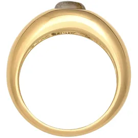 ELLI PREMIUM Elli Ring 925 Sterling Silber Siegelring in Gold | Gr.: 58