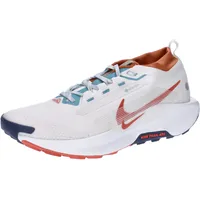Nike Pegasus Trail 5 GTX Herren Phantom/Vintage Coral-Dark Russet