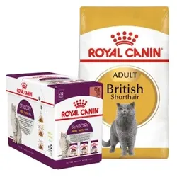 ROYAL CANIN British Shorthair Adult 10kg+ Multipack for free