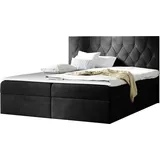 MIRJAN24 Boxspringbett Loloz, Doppelbett mit Bettkasten und Matratze, Ehebett (Farbe: Mikrofaza 0015, Größe: 180x200 cm) - Dunkelgrau