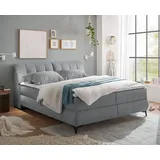 ED EXCITING DESIGN Boxbett / Polsterbett 160 x 200 cm, mit Bettkasten grau - Grau