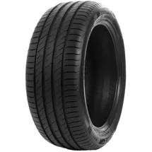 Delinte DS2 205/65 R15 94H