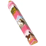 Die Spiegelburg Coppenrath Verlag 16387 Radierstift Pferdefreunde