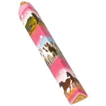 Die Spiegelburg Coppenrath Verlag 16387 Radierstift Pferdefreunde