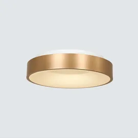 Steinhauer LED Deckenleuchte Ringlede - gold - Kunststoff Metall,