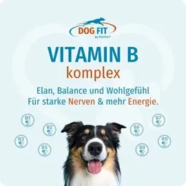 DOG FIT by PreThis DOG FIT Vitamin B Komplex Kapseln 60 St.