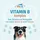 DOG FIT by PreThis DOG FIT Vitamin B Komplex Kapseln 60 St.