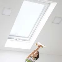 Dachgewerk Schwingfenster DSFP Kunststoff 94 x 140 cm 3-fach-Verglasung