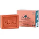 Big Buy Cooking Fortaleza Shampoo Fest 2 in 1 75 g