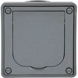 Busch-Jaeger Schuko-Steckdose 20 EFDB2 Grau 1 St.