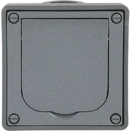 Busch-Jaeger Schuko-Steckdose 20 EFDB2 Grau 1 St.