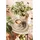SELTMANN WEIDEN Espressotasse mit Untertasse 0,09 l Beige 6 St.