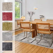 Astra Teppich Stevie D.250 C.040 grau 160x230 cm