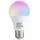 Shelly Multicolor Bulb E27 85 W